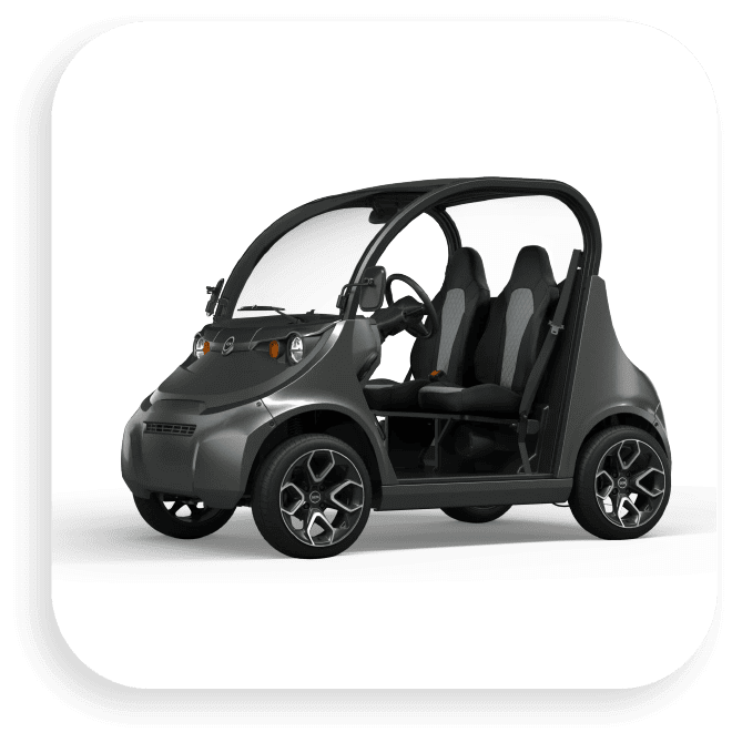 Mini LSV